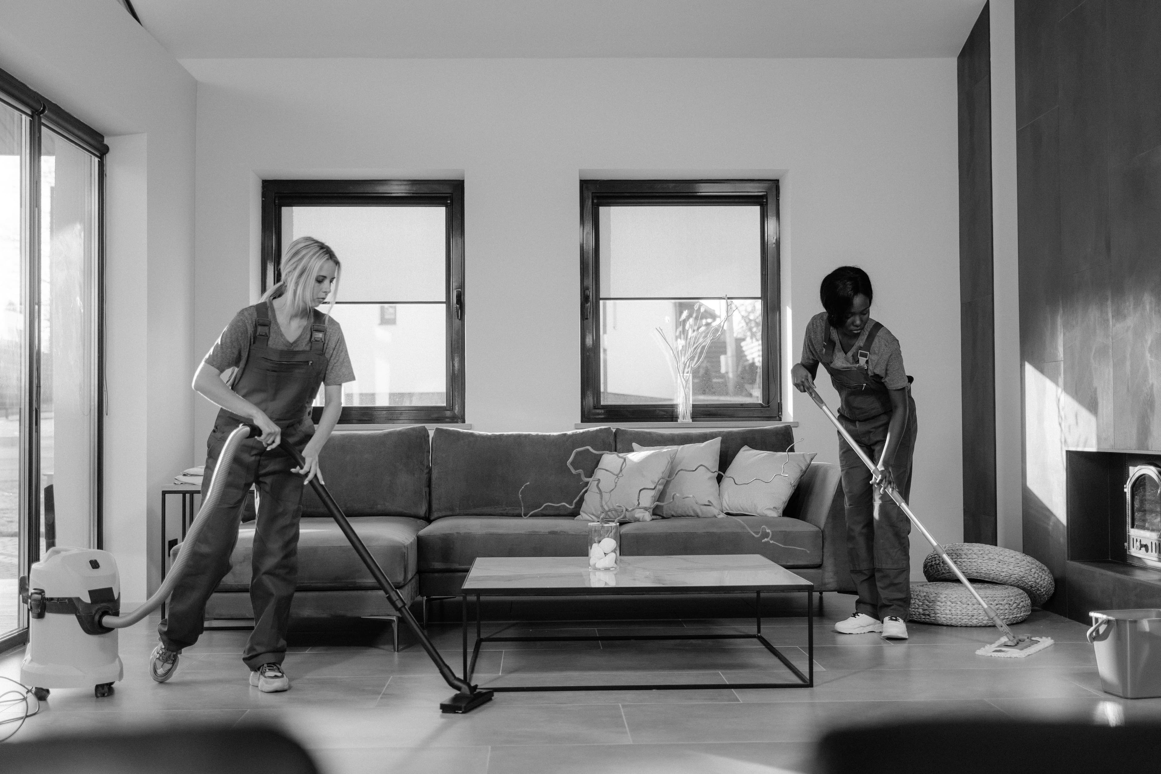 Professional cleaners caring for a home